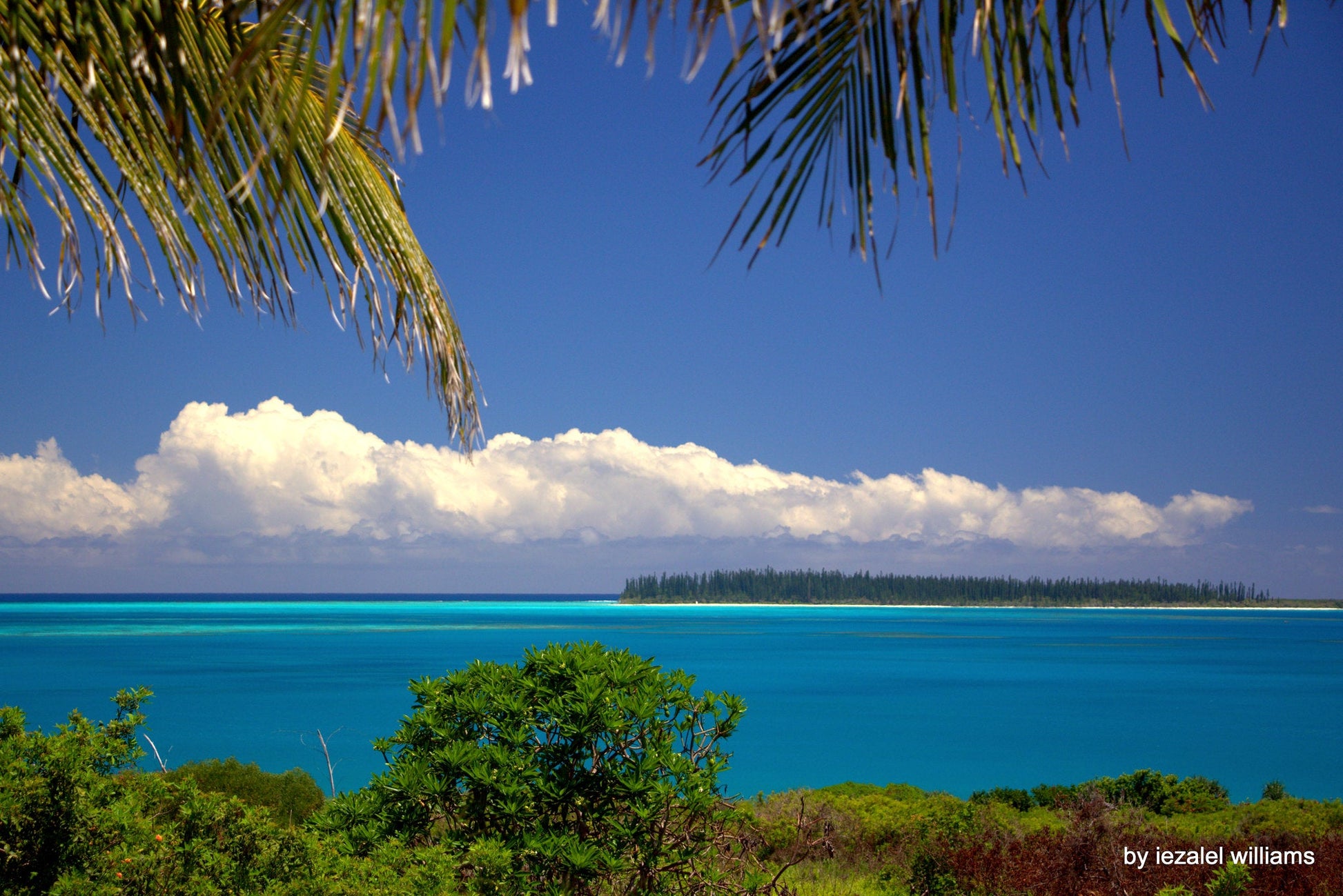 New Caledonia eSIM - Roamic