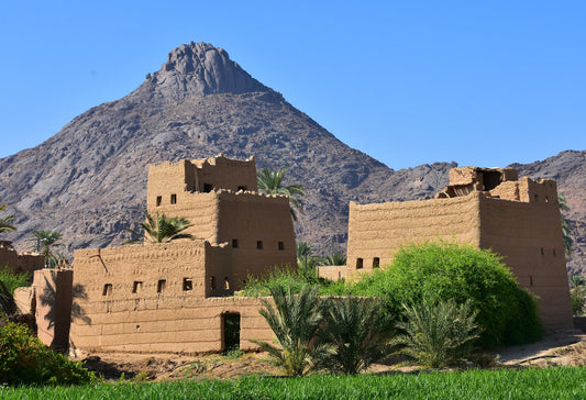 Saudi Arabia eSIM - Roamic