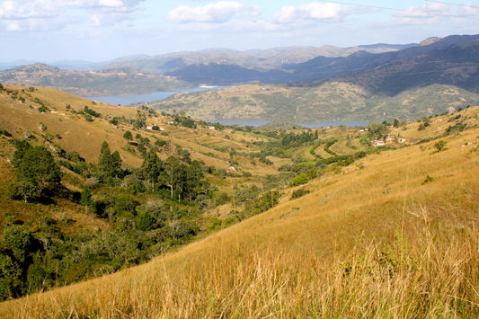 Swaziland eSIM - Roamic