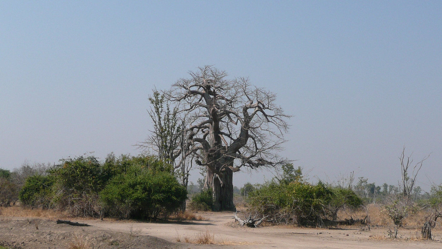 Zambia eSIM - Roamic