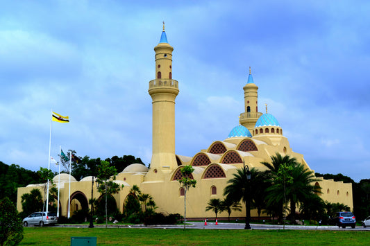 SIM electrònica de Brunei Darussalam