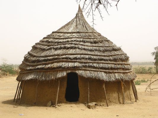 Niger eSIM - Roamic